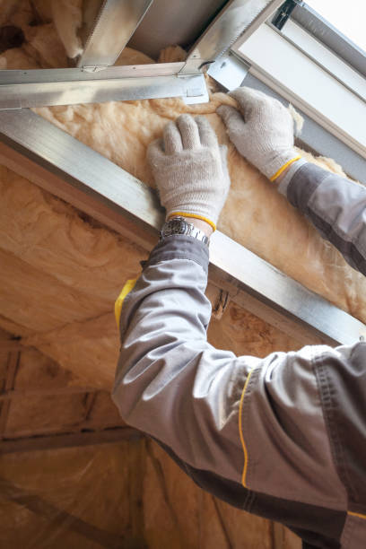 Best Residential Insulation in Wilton, IA