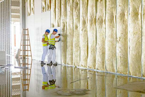 Best Insulation Installation Services in Wilton, IA